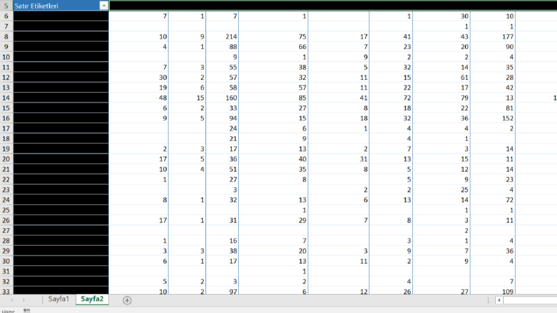 İleri seviye excel/vba işlerinizi yapabilirim. 