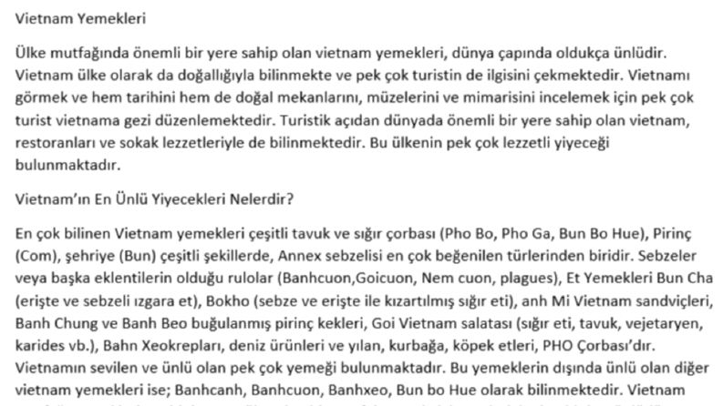 Vietnamla İlgili Yazdığım Yazı