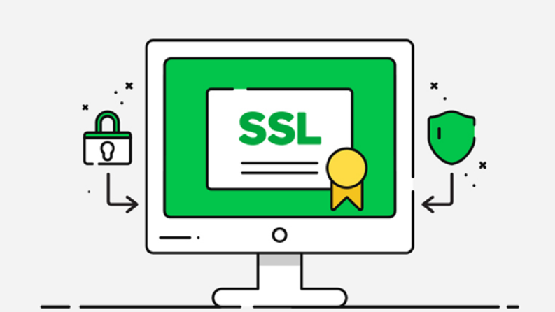 SSL1