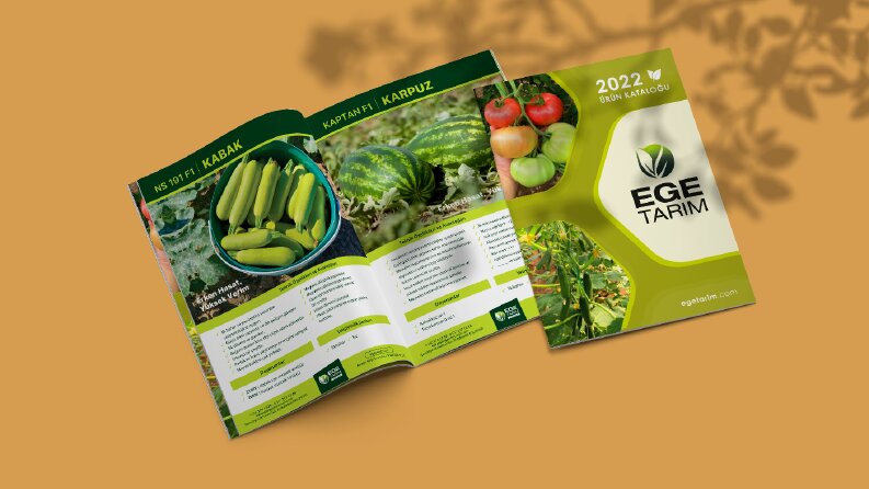 Katalog Tasarımı