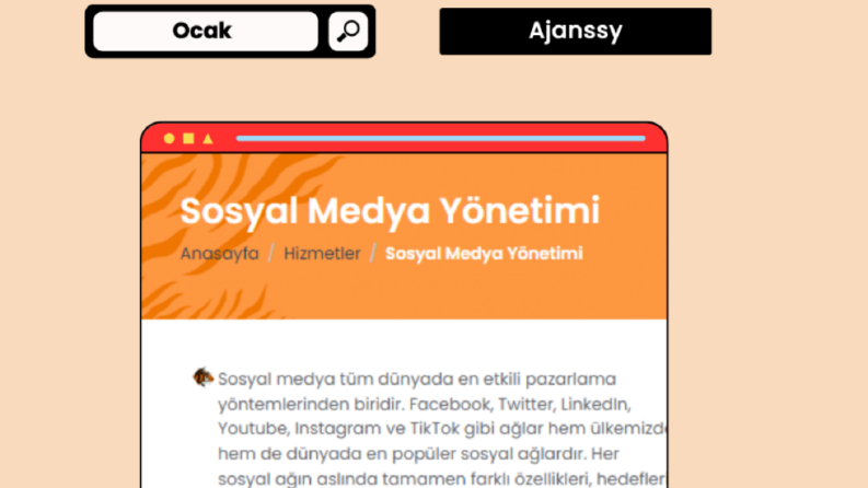 Reklam Ajansı - Sosyal Medya Yönetimi - 2023