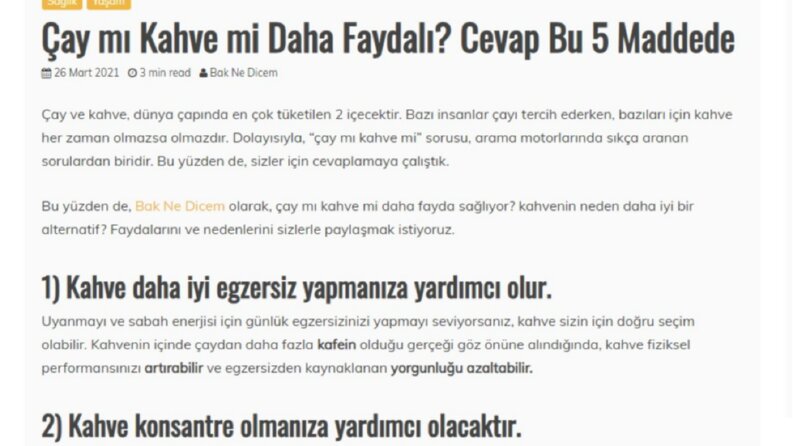 Web Sitesi İçeriği Örnekleri