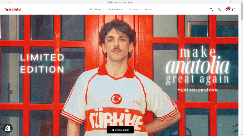 cacheistanbul.co
