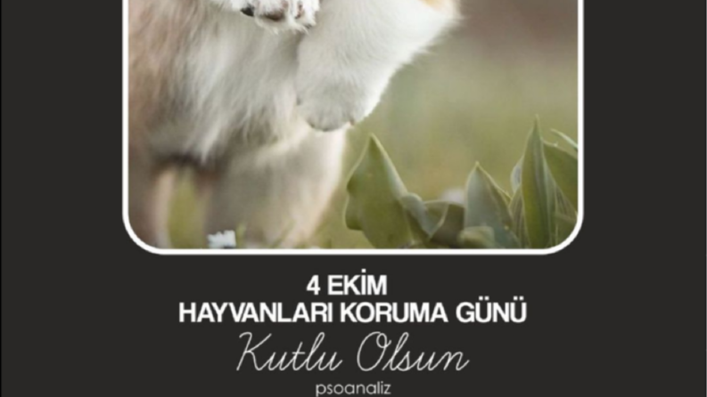 Sosyal Medya-Özel gün post tasarımı