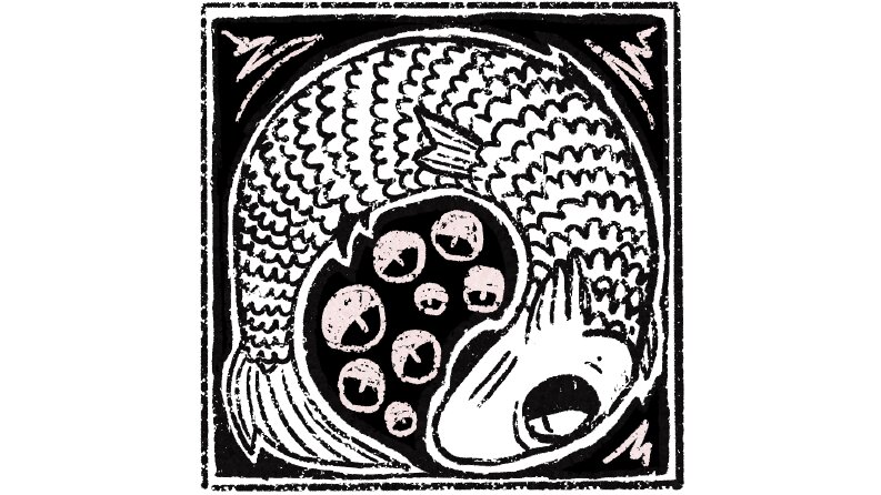 Ex libris tasarımı