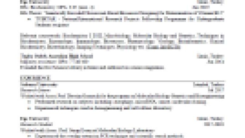 CV Yazarlığı