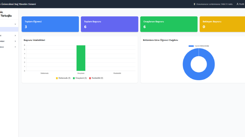 İşinize Değer Katacak Profesyonel Web Sitesi Kurulumu