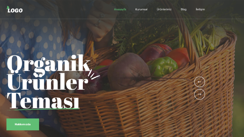 Orgun grup web tasarım