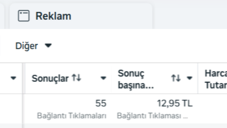 Uygulama Reklam Kampanyası | Günlük 60tl 10 Günde 55 İndirme