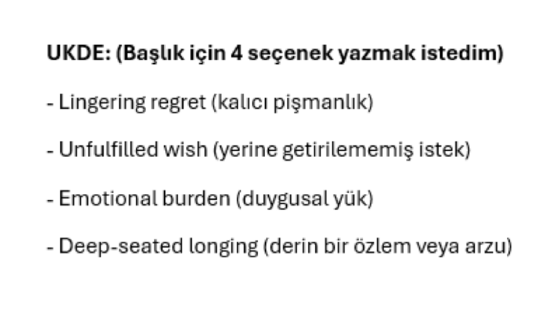 Kısa Film Çevirisi