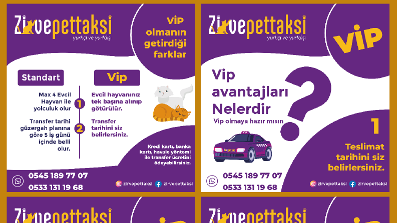 Zirve Pet Taksi Sosyal Medya Tasarımları