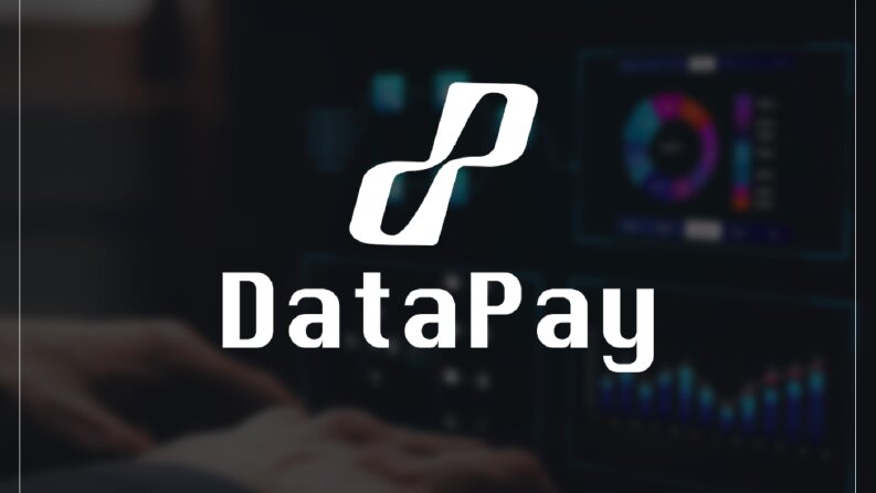 DataPay - Konsept Logo Çalışması