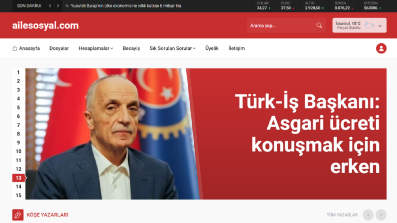 Örnek Wordpress Safir-1