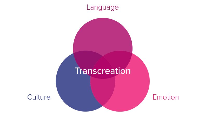 TRANSLATION 