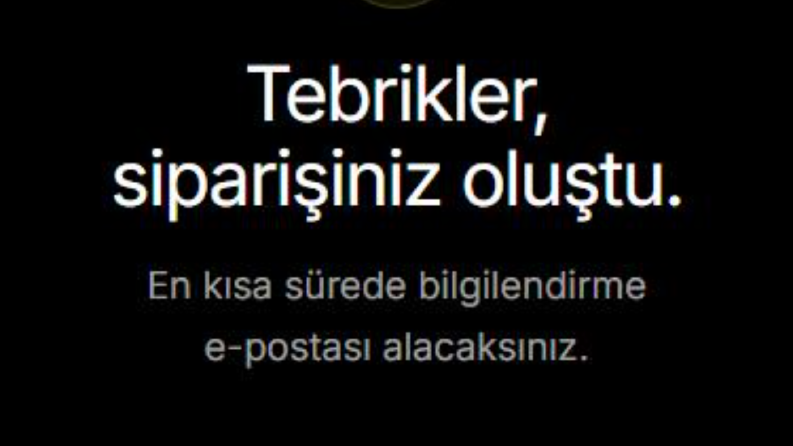 Profesyonel Web Sitesi Geliştirme
