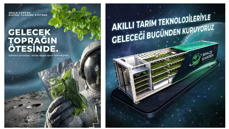 Konsept - Sosyal Medya Tasarımı