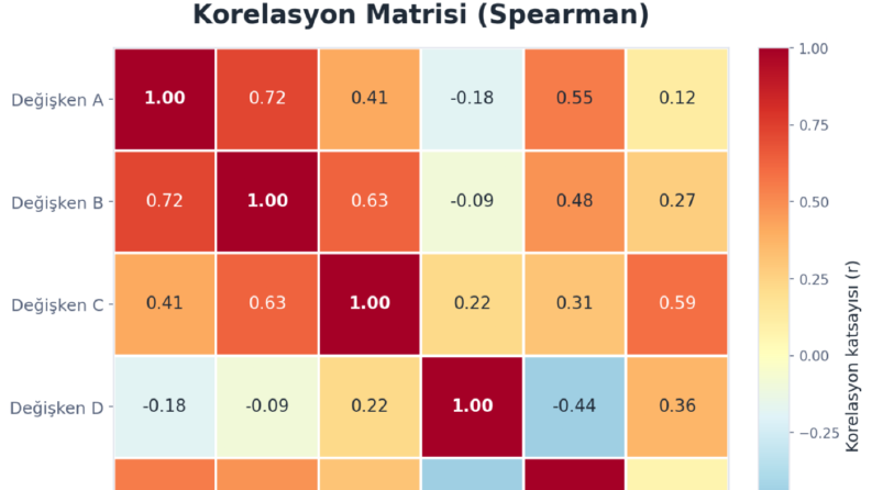 Değişkenler Arası İlişki Analizi (Korelasyon Matrisi)