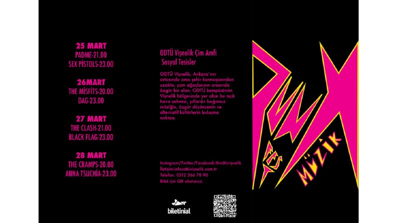Punk müzik festivali broşür tasarımı