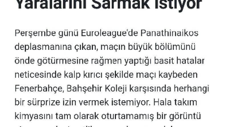 Haber sitesi yazarlığı