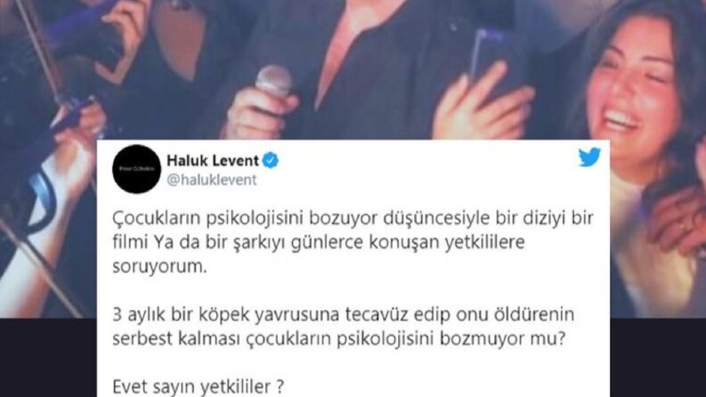 İçerik Üretimi