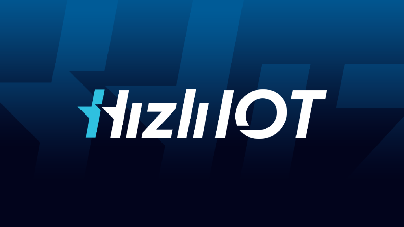 panel.hizliiot.com - Logo Tasarımı