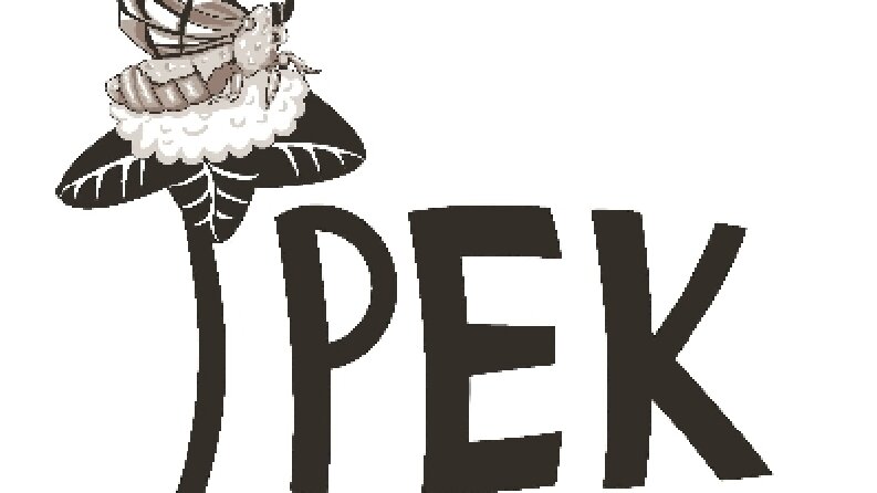 İpek tuhafiye logo 