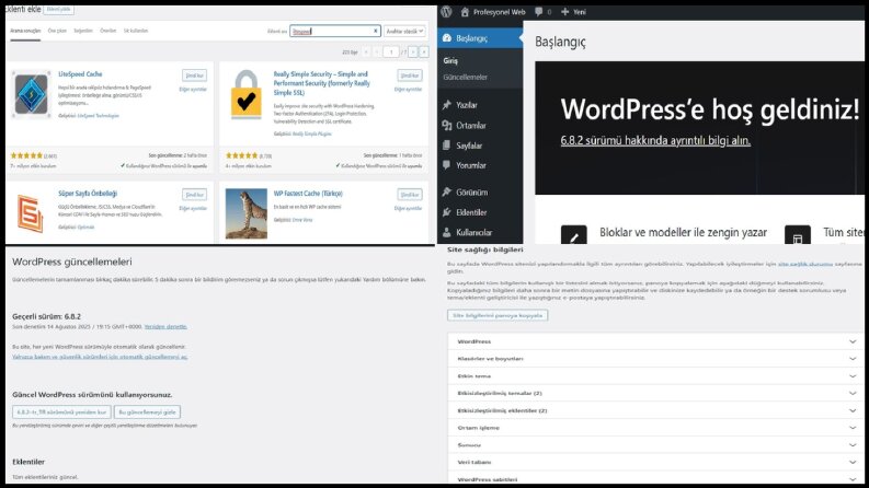 Wordpress Optimize İşlemi