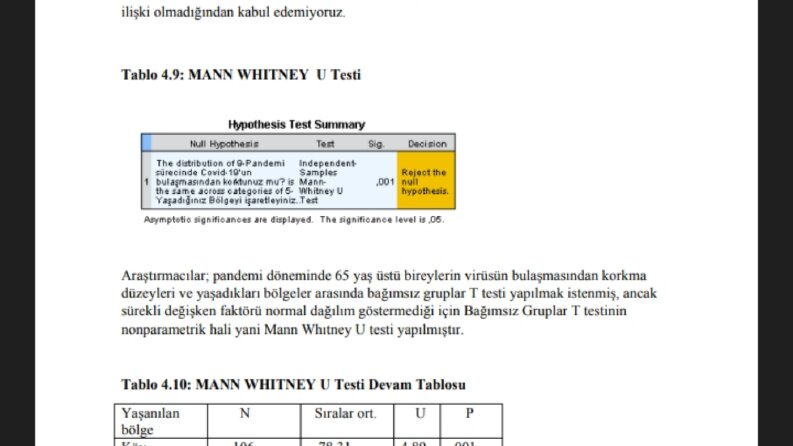 ARAŞTIRMA PROJESİ