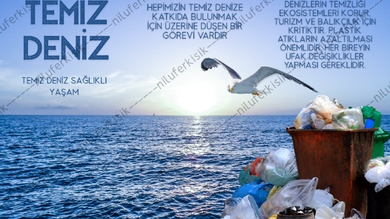 Temiz Deniz-Örnek Broşür Tasarımı