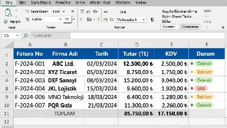Excel veri girişi