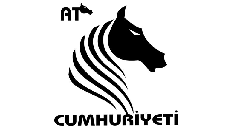 YARATICI LOGO TASIRIMLARI