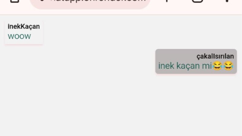 Gerçek Zamanlı Mini Chat Uygulaması (Socket.io ile)