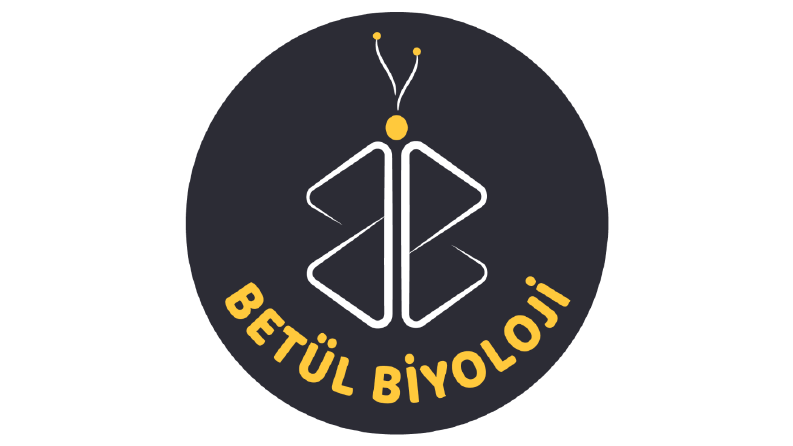 Logo - İş Örneği