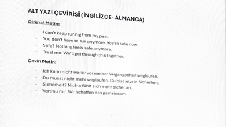 Altyazı Çevirisi 