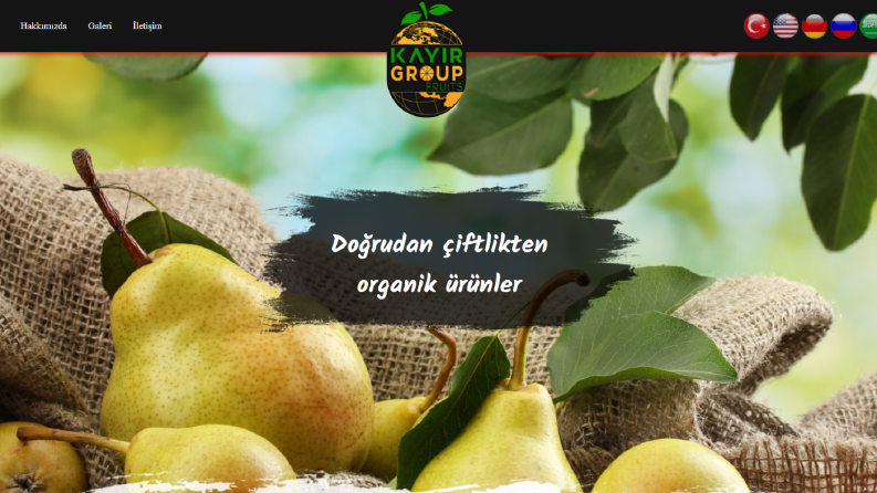 Kayır Group Fruits - Kurumsal Websitesi