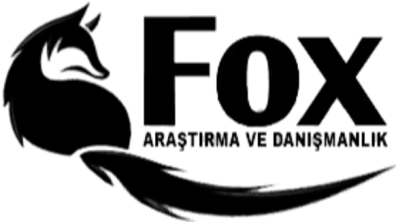 Fox Dedektiflik - Google Reklam Yönetimi