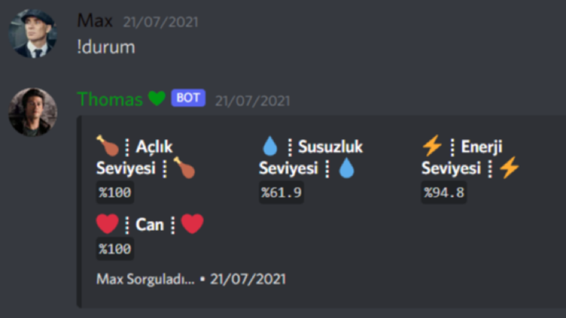 Profesyonel Discord Botları