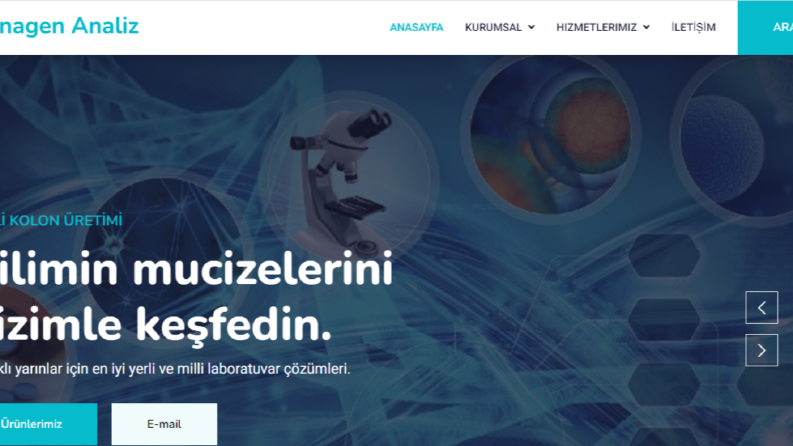Anagen Analiz Firması Web Site Tasarım