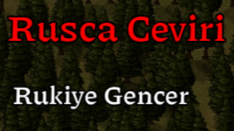 Oyun Çevirisi