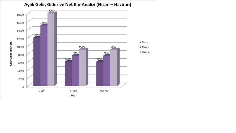 Excel'de Aylık Kar-Zarar Analizi ve Görselleştirme