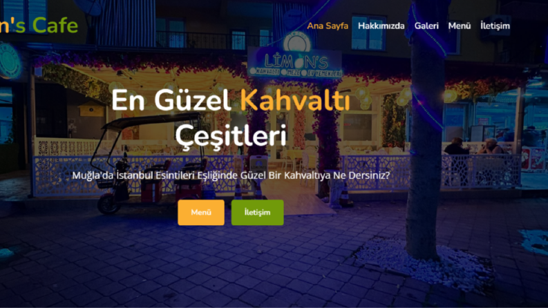 kurumsal özel web tasarımı