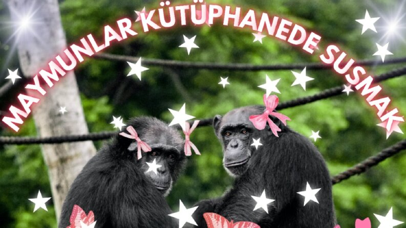 Maymunlar Kütüphanede Susmak