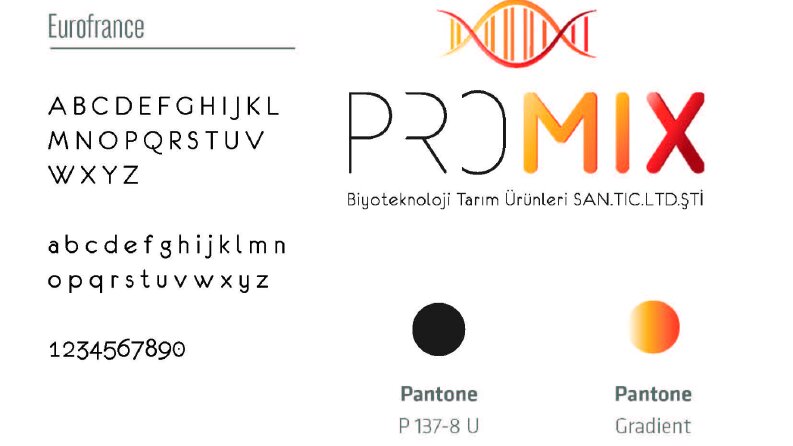 Promix-Logo Tasarımı-Kurumsal Kimlik