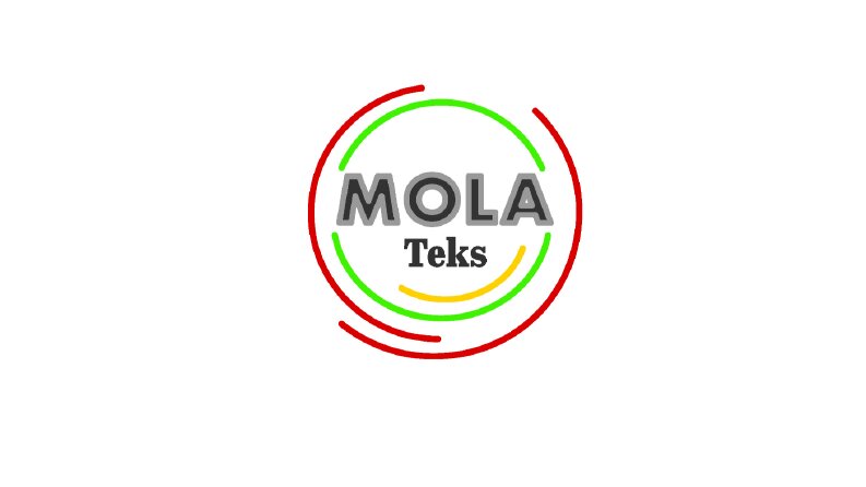 Kurumsal Şirket İçin Logo Tasarımı