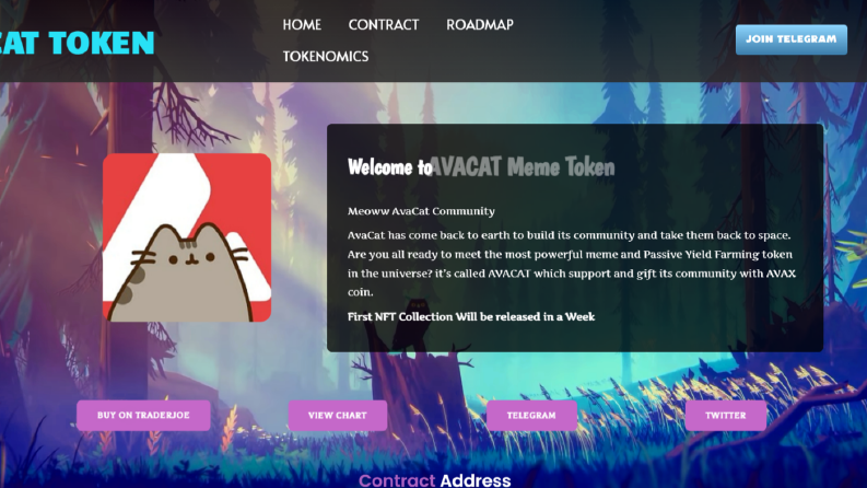 Token- Web Sitesi Tasarımı