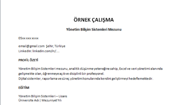 Profesyonel CV / Özgeçmiş Hazırlama