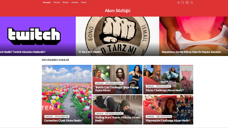 Akım Sözlüğü Web Tasarımı