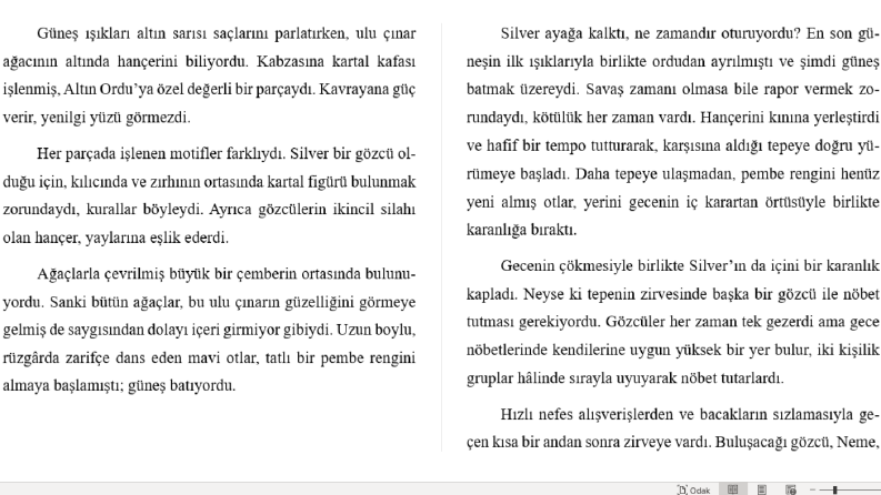 Yalnızca Betimleme