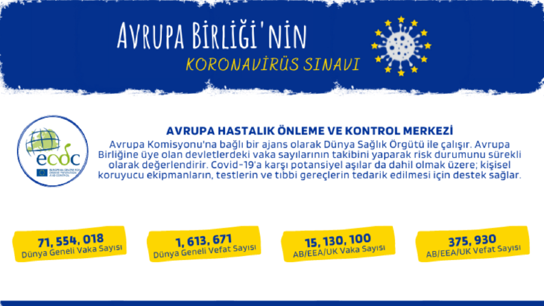 İnfografik Tasarımları