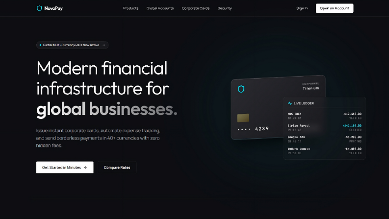 NovaPay | Yeni Nesil Finans & Kurumsal SaaS Web Arayüzü